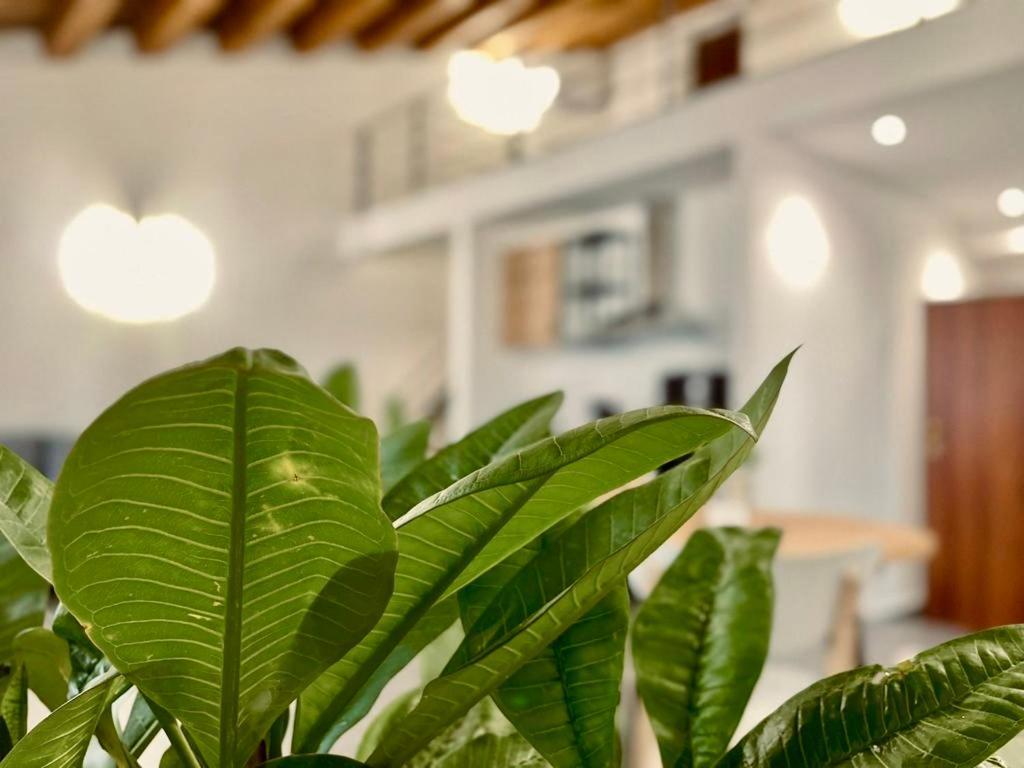 Boutique Pensión